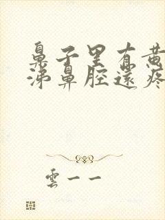 鼻子里有黄脓鼻涕鼻腔还疼