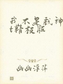 我不是戏神txt精校版