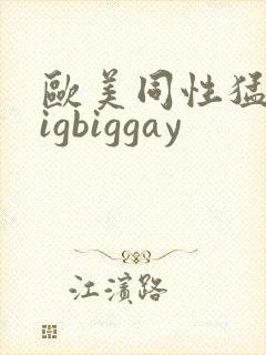 欧美同性猛男bigbiggay