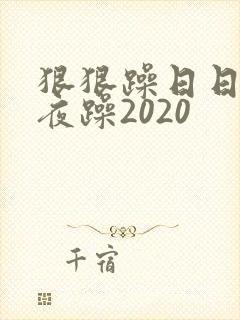 狠狠躁日日躁夜夜躁2020