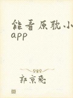 能看原耽小说的app封面