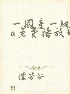 一国产一级淫片a免费播放口