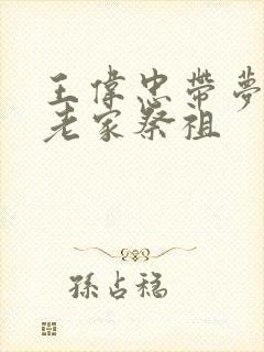 王伟忠带梦莹回老家祭祖封面