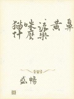 猫咪流黄鼻涕吃什么药