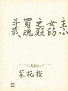 斗罗之女主加入武魂殿的小说