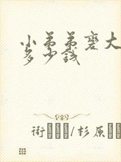 小弟弟变大手术多少钱