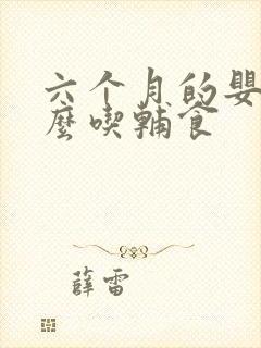 六个月的婴儿怎么吃辅食