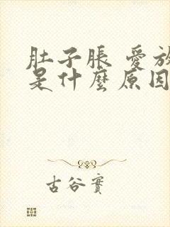 肚子胀 爱放屁是什么原因