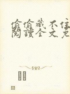 偷偷藏不住在线阅读全文免费