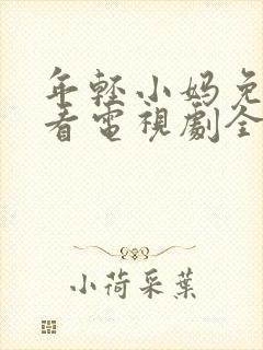 年轻小妈免费观看电视剧全集下载安装