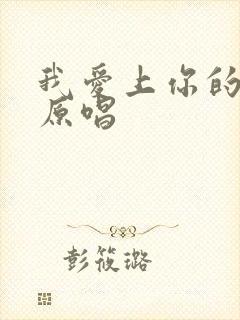 我爱上你的时候原唱