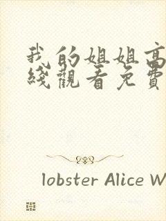 我的姐姐高清在线观看免费完整版封面