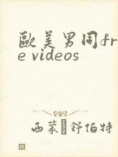 欧美男同free videos
