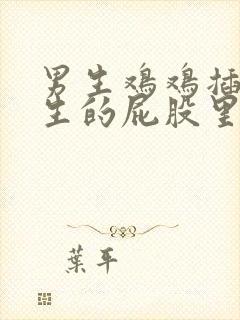 男生鸡鸡插到女生的屁股里