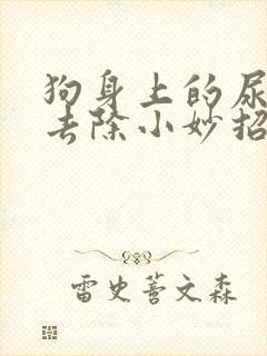 狗身上的尿骚味去除小妙招