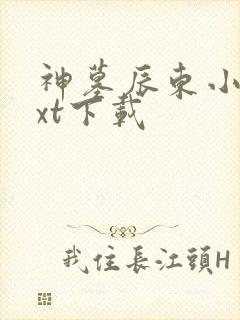 神墓辰东小说txt下载