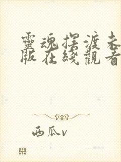 灵魂摆渡未删减版在线观看封面