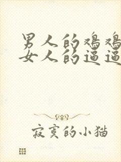 男人的鸡鸡插在女人的逼逼