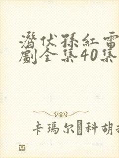 潜伏孙红雷电视剧全集40集免费观看