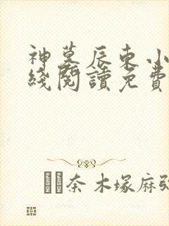 神墓辰东小说在线阅读免费