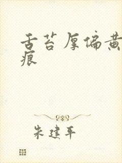 舌苔厚偏黄有齿痕