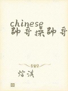 chinese帅哥操帅哥网站