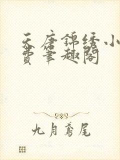 天唐锦绣小说免费笔趣阁