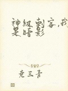 神级刺客,我即是暗影