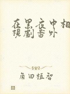 在黑夜中相拥电视剧番外