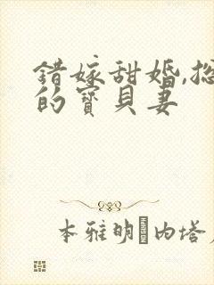 错嫁甜婚,总裁的宝贝妻