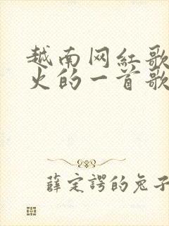 越南网红歌曲最火的一首歌