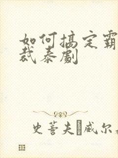 如何搞定霸道总裁泰剧