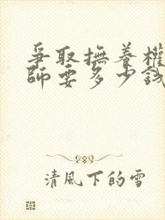 争取抚养权请律师要多少钱