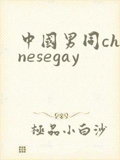 中国男同chinesegay