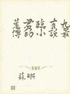 叶君临有九个师傅的小说最新章节