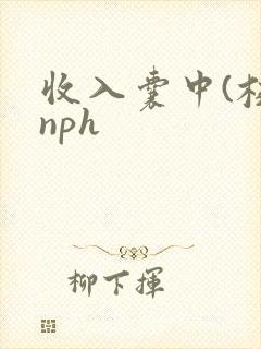 收入囊中(校园nph