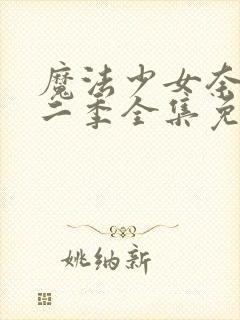 魔法少女奈叶第二季全集免费观看封面