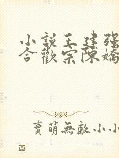 小说王建强穿越合欢宗陈娇娇