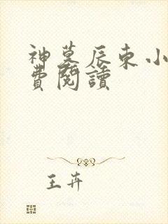 神墓辰东小说免费阅读