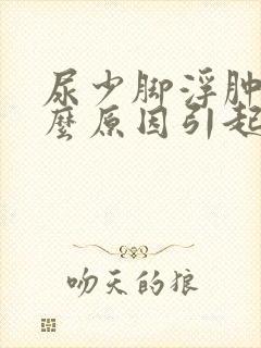 尿少脚浮肿是什么原因引起的