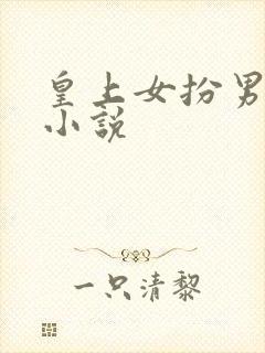 皇上女扮男装的小说