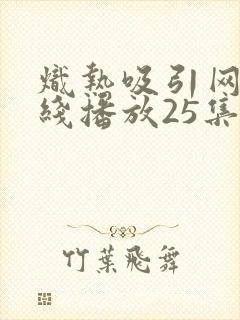 炽热吸引网剧在线播放25集