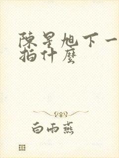 陈星旭下一部剧拍什么