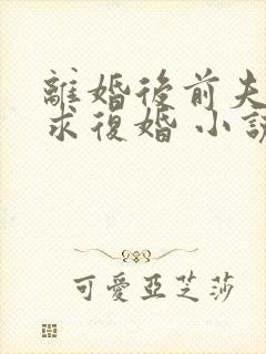 离婚后前夫哭着求复婚 小说完整