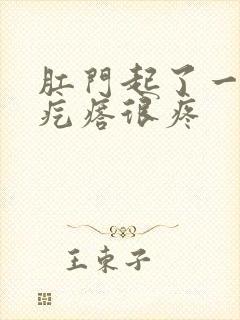 肛门起了一个硬疙瘩很疼