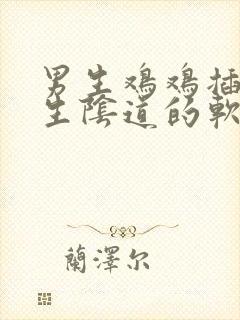 男生鸡鸡插入女生阴道的软件