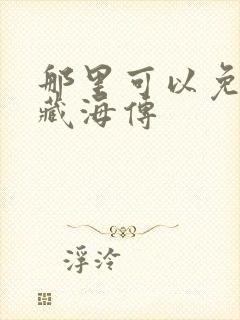 那里可以免费看藏海传