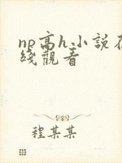 np高h小说在线观看