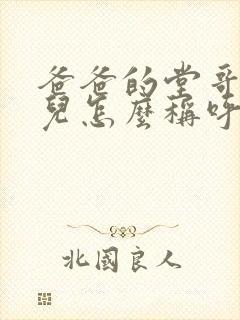 爸爸的堂哥的女儿怎么称呼封面