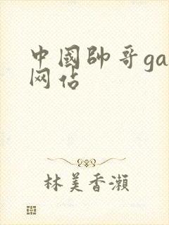 中国帅哥gay网站